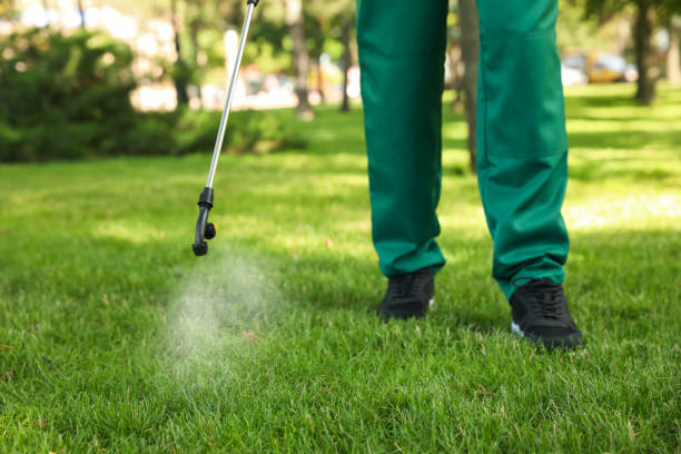 Best Pest Inspection Near Me  in Estes Park, CO