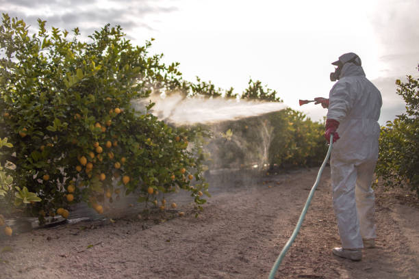 Insect Control in Estes Park, CO
