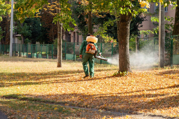 Best Pest Control Near Me  in Estes Park, CO