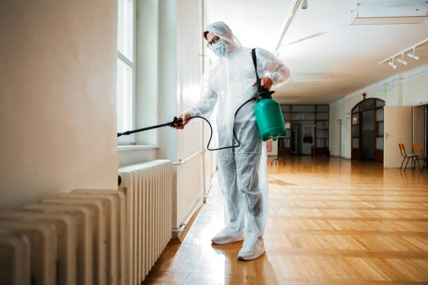 Best Bed Bug Extermination  in Estes Park, CO